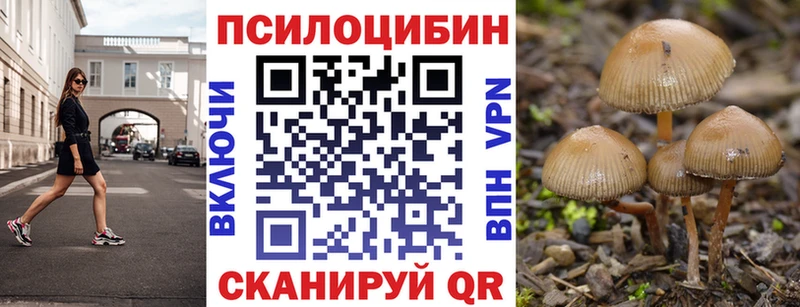 Галлюциногенные грибы мицелий  наркота  Красноармейск 